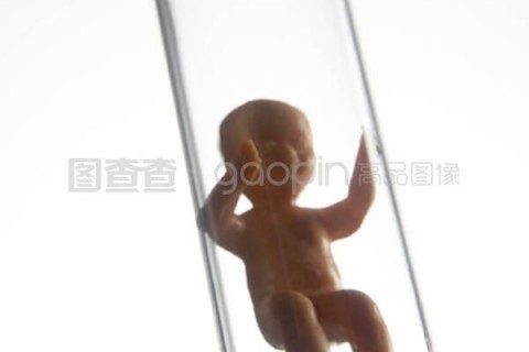 http://dongguan.nbgk120.com/post/198.html|东莞捐卵价格