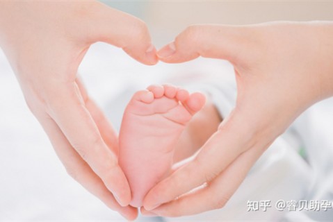 夏天东莞捐卵宝宝发烧 莫要急
