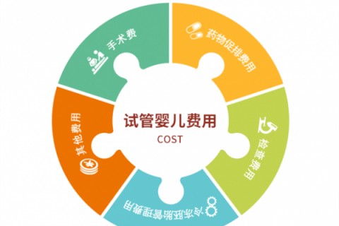 东莞捐卵宝宝肚痛，父母该怎么办？